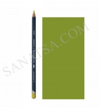 Derwent Studio Pencil 51 Olive Green